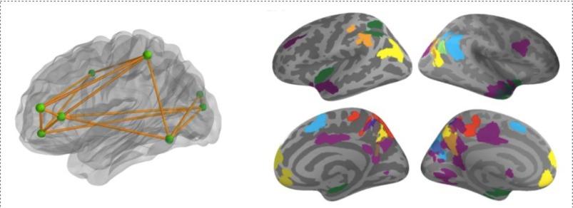 Redes de regiones del cerebro que se activan al mismo tiempo al resolver matemáticas